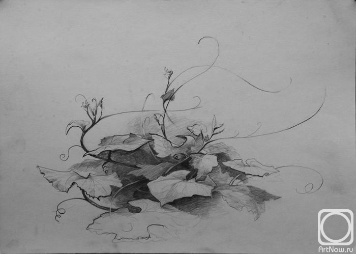 �������. ������������ ������. ���������