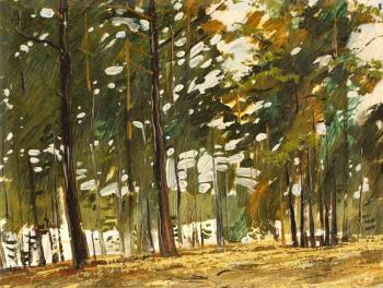 Pine forests of the Angara. Shishelov Igor