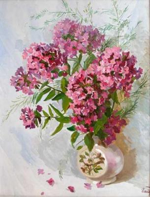 Phlox. Gaifullina Elena