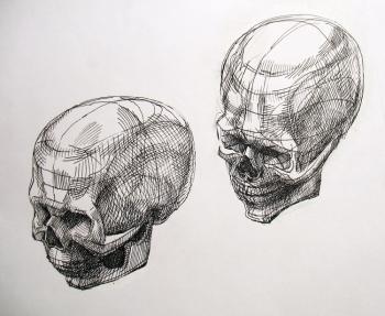 Cranium / Human Skull (two foreshortenings). Yudaev-Racei Yuri