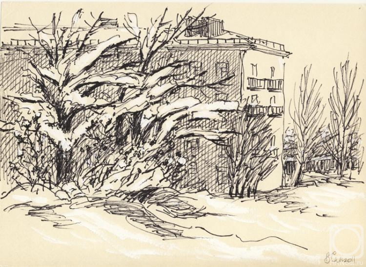 Semerenko Vladimir. Winter 2011