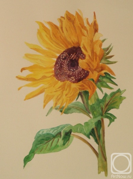 �������. �������� ������. 380 (���������)