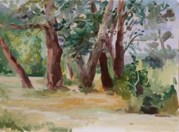 ������� ������� ����� ��������