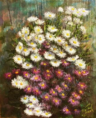 Bouquet of colorful daisies