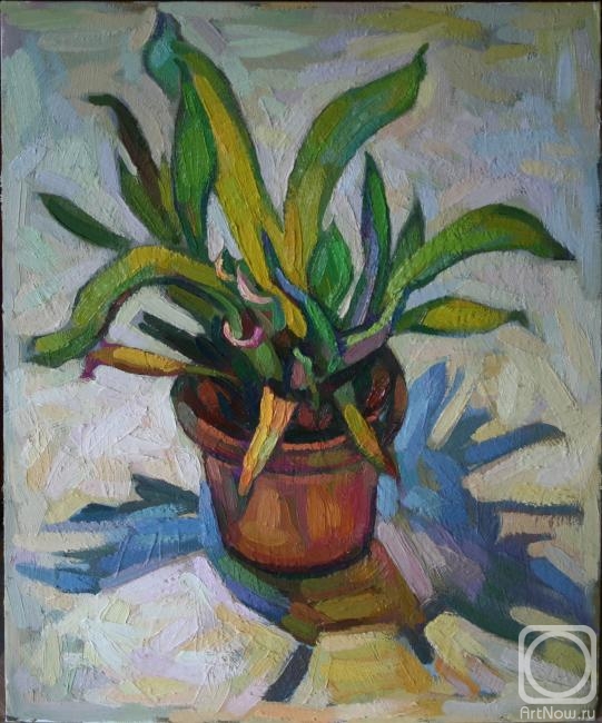 ������� ������ �� ������. �������� ������. ����� ��������