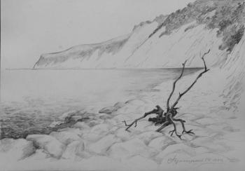 Philosophy of the coast