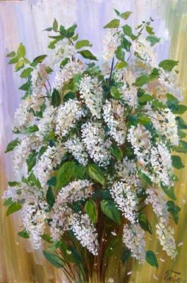 ��������. ���������� �����