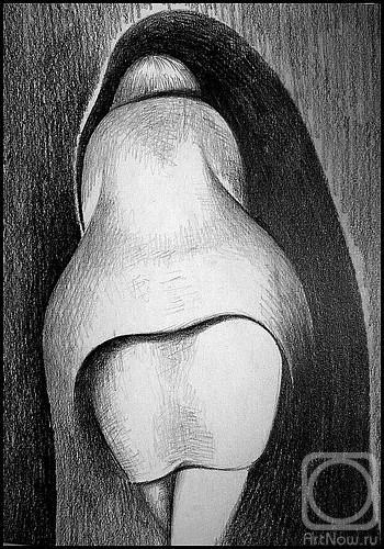 �������. ������ �����. ��� ������ ����������