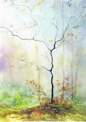 ������� �������