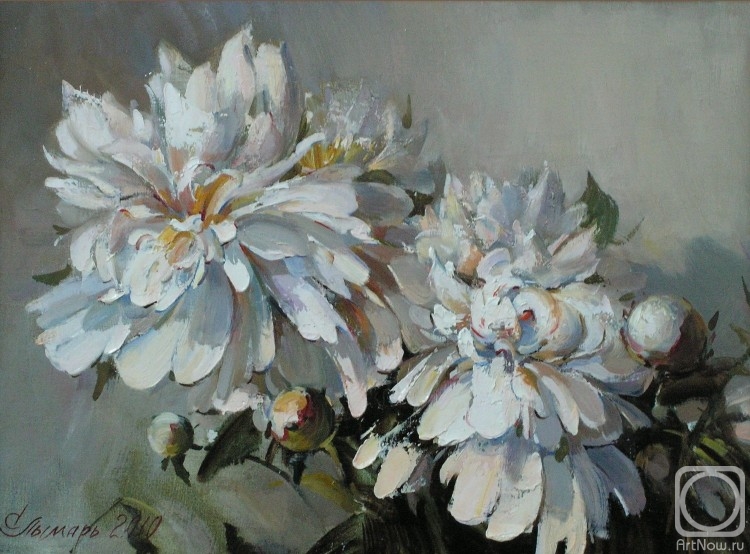 ������� ������ �� ������. ������ ������. �����