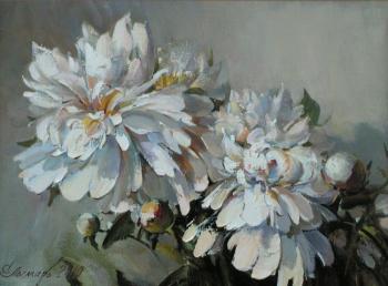 ������� �������