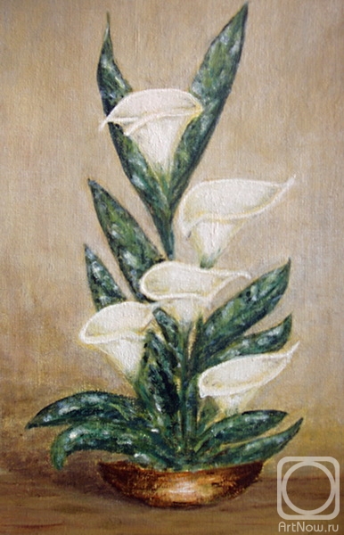 ������� ������ �� ������. ��������� �����. �����