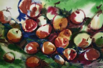 ������. ������ ������