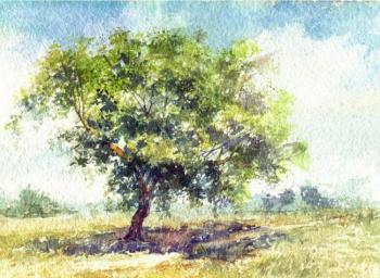 ������� �������