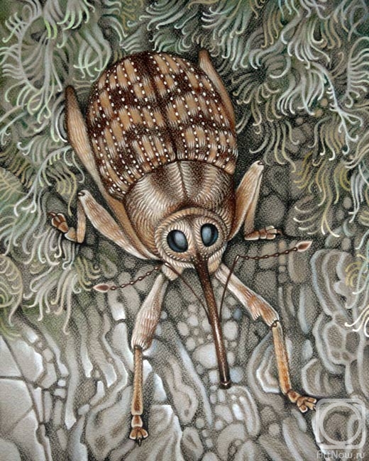 �������. ������ ���. ����������