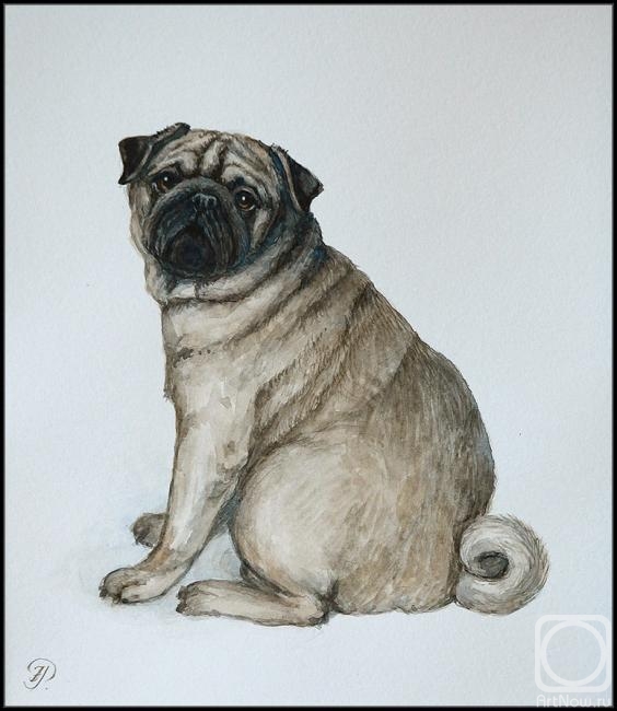 �������. �������� �������. ����