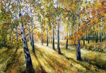 ������� �163��������