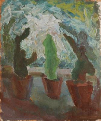 ������� ����������