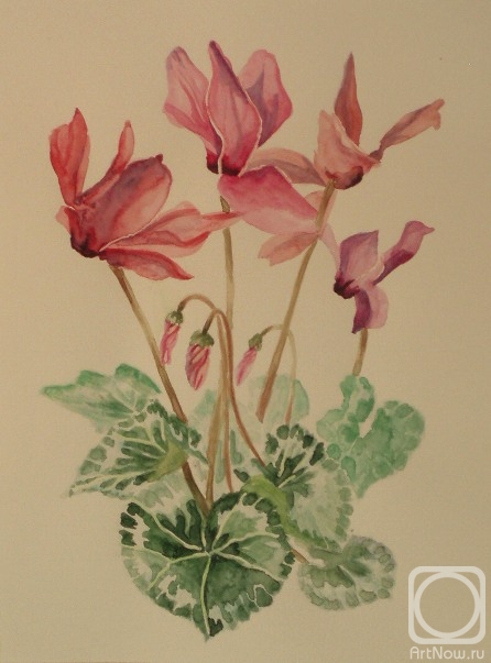 �������. �������� ������. 389 (��������)