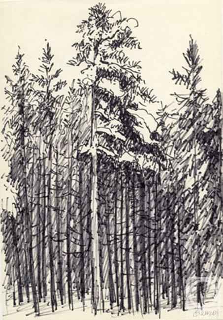 �������. ��������� ��������. ���� 2011. �����������