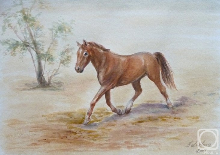 �������. ������� �������. ����