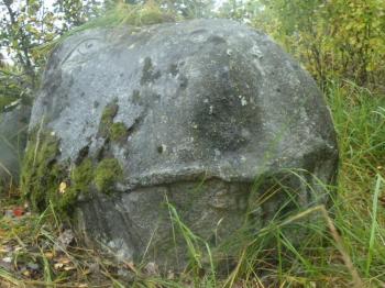 Moomin Troll. Tihomirov Pavel