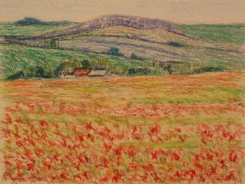 393 (Poppy field). Lukaneva Larissa