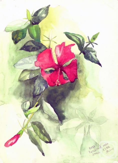 �������. ������� ������. ��������� ����