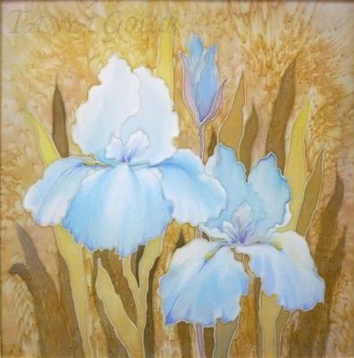 Wonderful iris. Golub Tatyana
