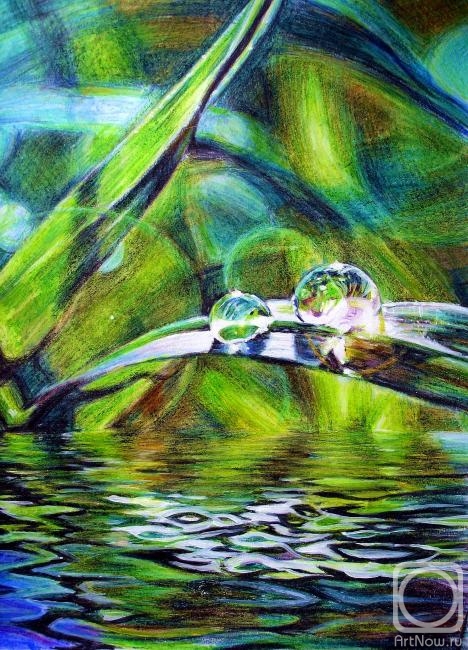 �������. ��� �����. ������ ���� ������