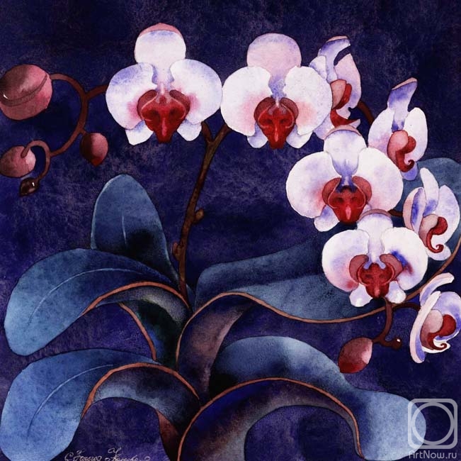 Ivanova Olga. The orchid