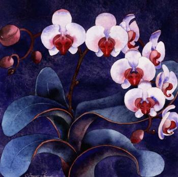 The orchid. Ivanova Olga