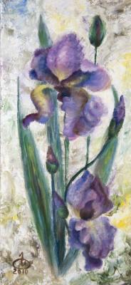 ������� �������