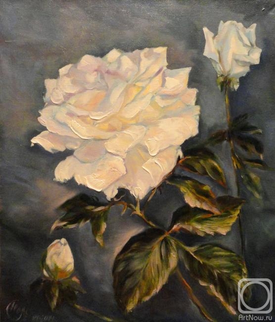 ������� ������ �� ������. ���������� �������. ���� � ����