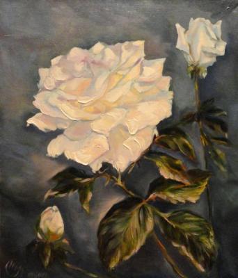 Roses in the Night. Solodilova Natalia