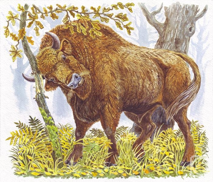 �������. ����� �������. � ���� ������ � ��� "������" �'���