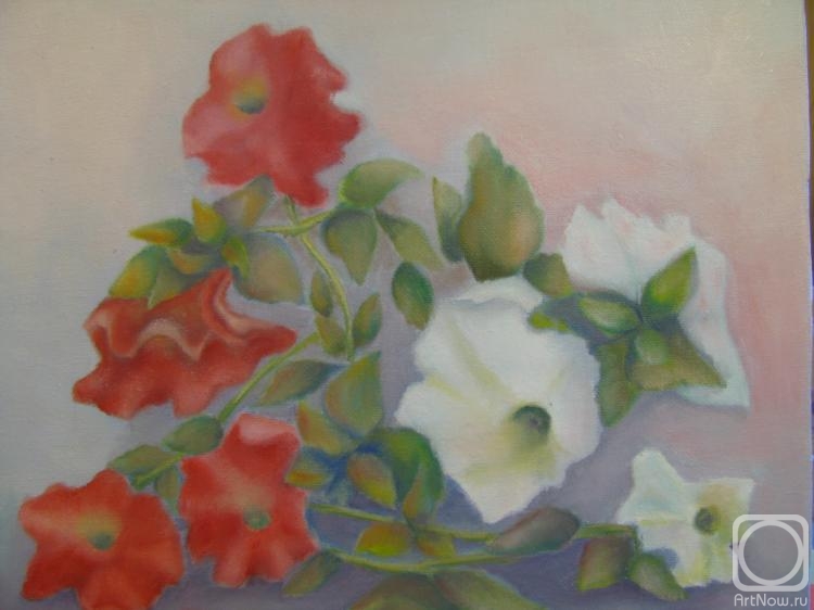 ������� ������ �� ������. ����� ������. �������