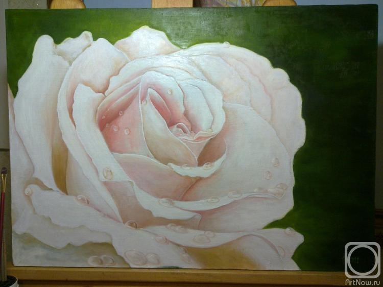 ������� ������ �� ������. ���������� �������. ��� ����