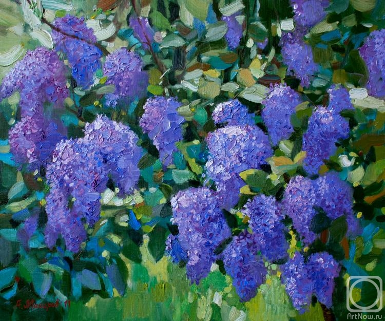 ������� ������ �� ������. ������� �����. ������