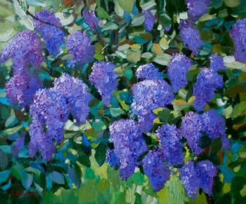 ������� ��������