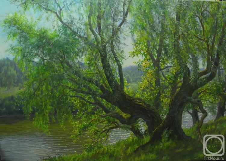 Nesterov Vasiliy. Old willows