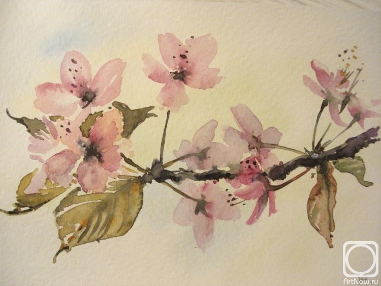 �������. ������� �����. ��������