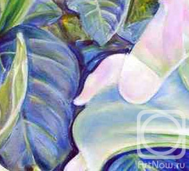 ������� ������ �� ������. ������ ������. ����� 24