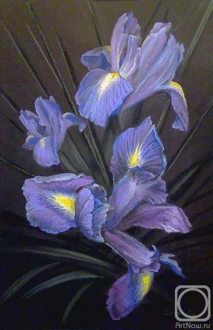 �������. ������� �������. ������ �����