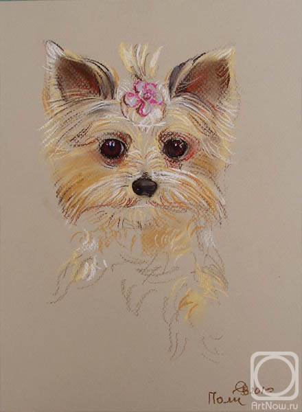 �������. �������� ������. ����