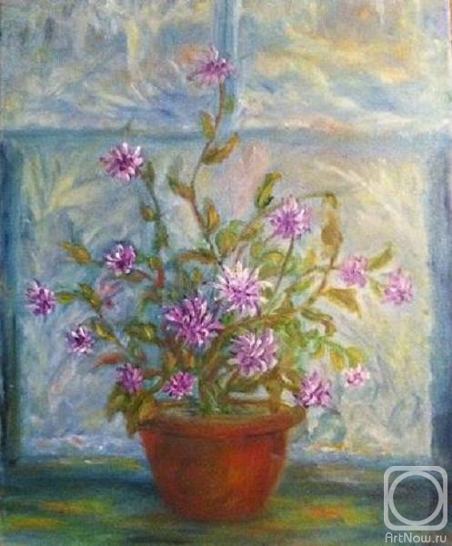 ������� ������ �� ������. ������ ����. ���������� �� �������� �������