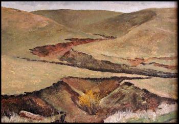 Ravines. Abdullaev Vadim