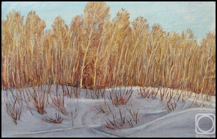 Abdullaev Vadim. Poplar trees in the snow
