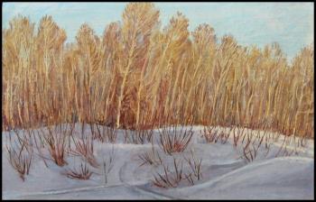 Poplar trees in the snow. Abdullaev Vadim
