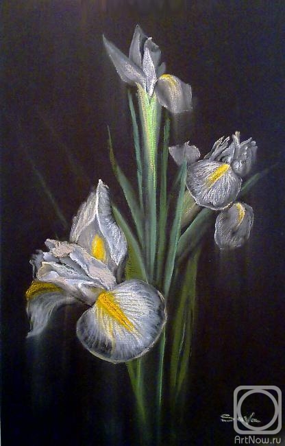 �������. ������� �������. ����� �����